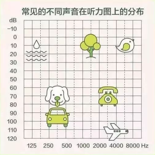 【聽(tīng)力科普】三分鐘看懂純音聽(tīng)力圖(圖6)